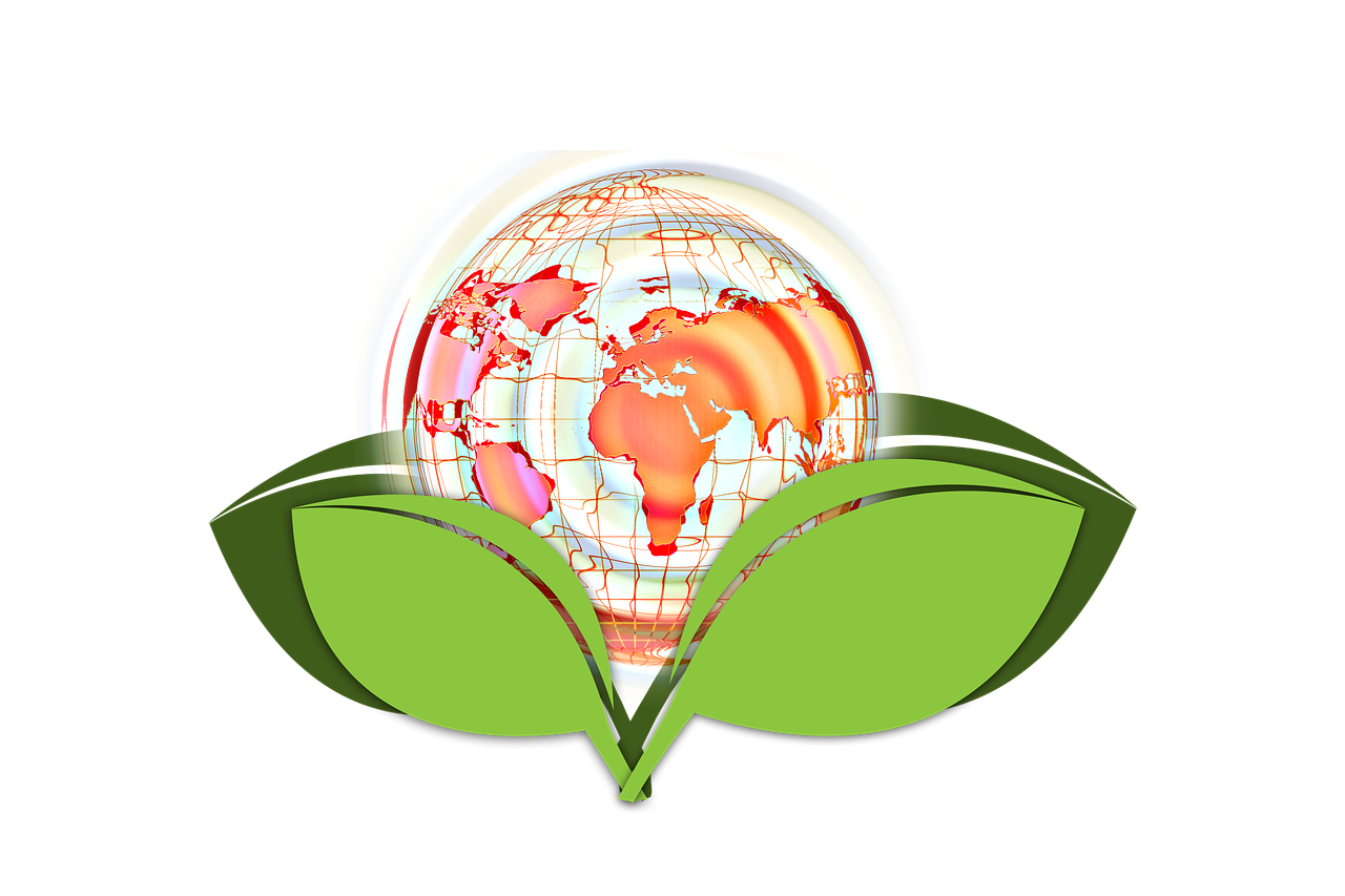 The experience underscored the importance of building robust international partnerships