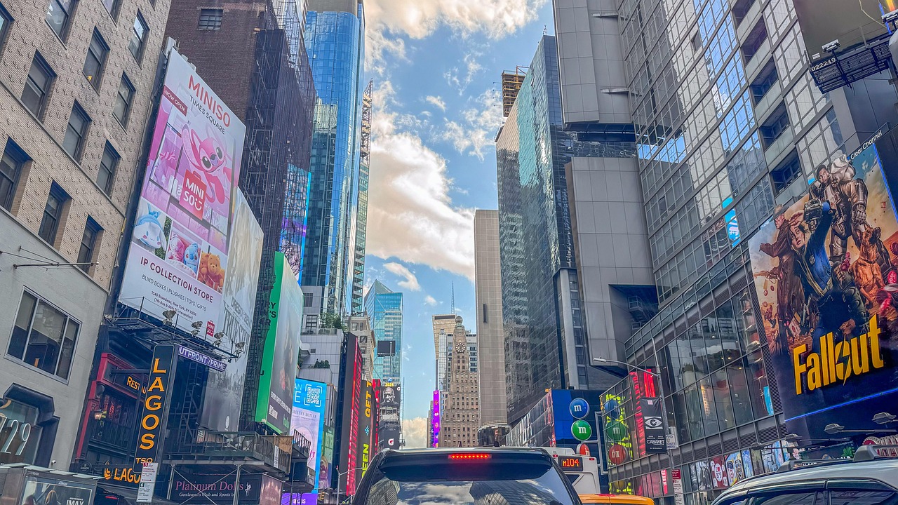 The Role of Civil Society and Non-Governmental Organizations