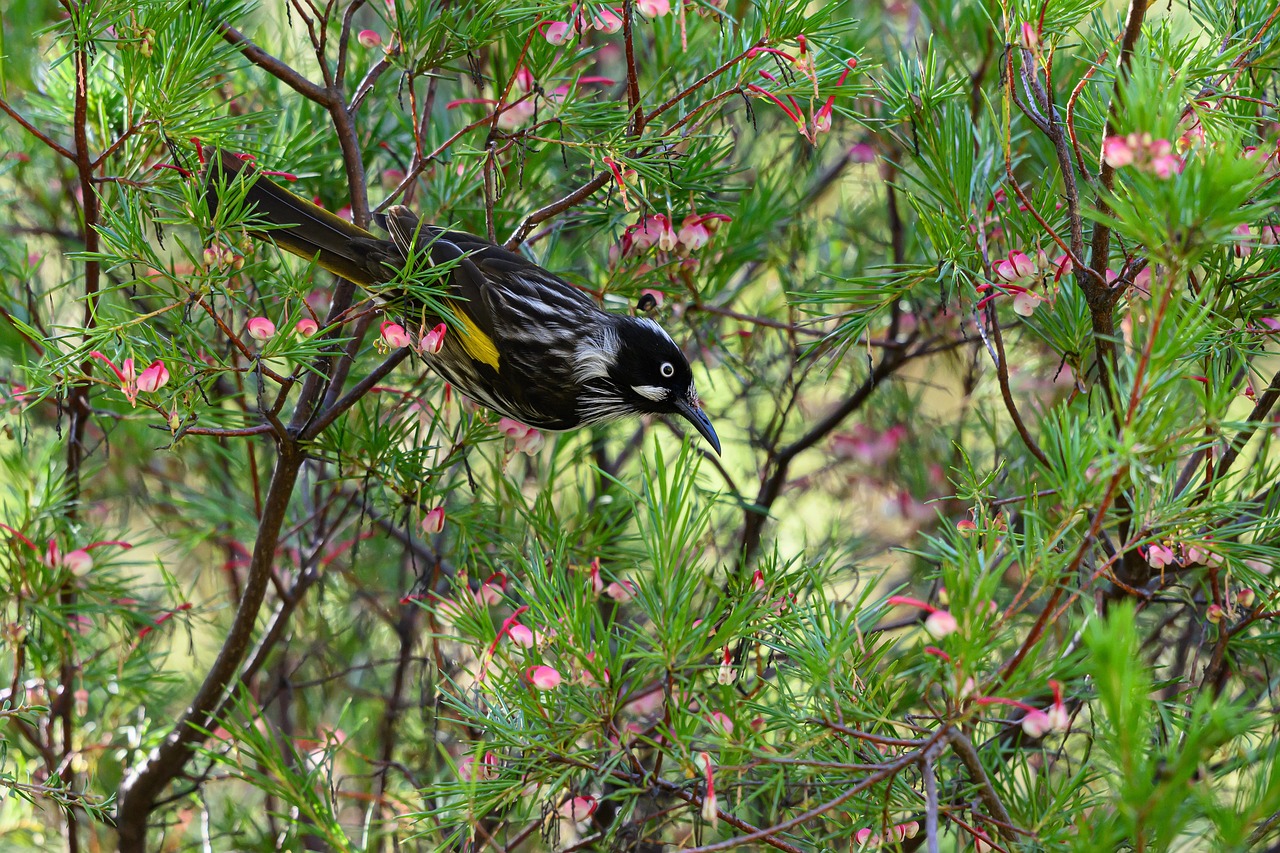 The rise of populism in the Philippines is a reflection