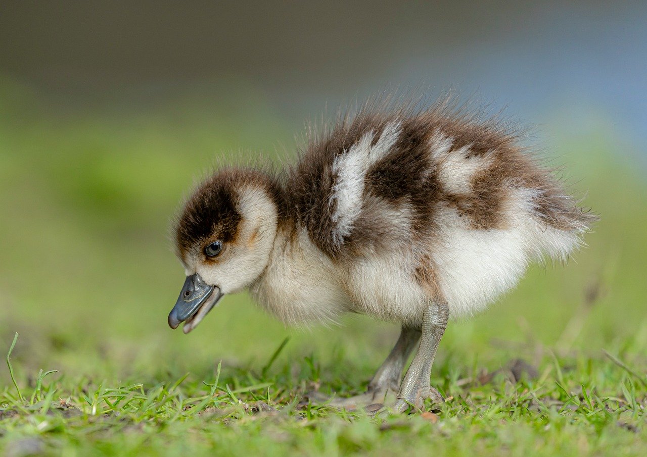 Organizations and movements led by young people have been at