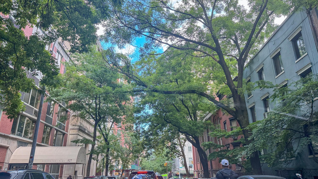 From an economic perspective, the impact of the tax reforms