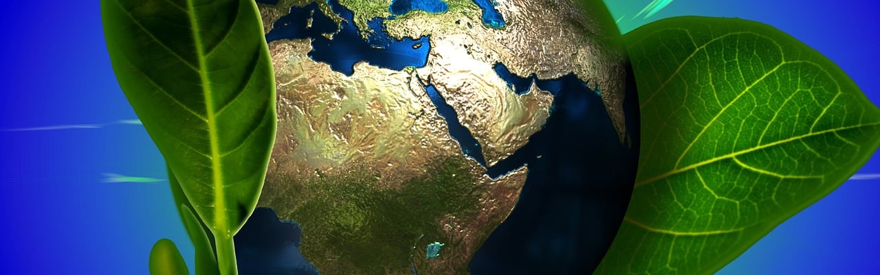 The Role of International Advocacy