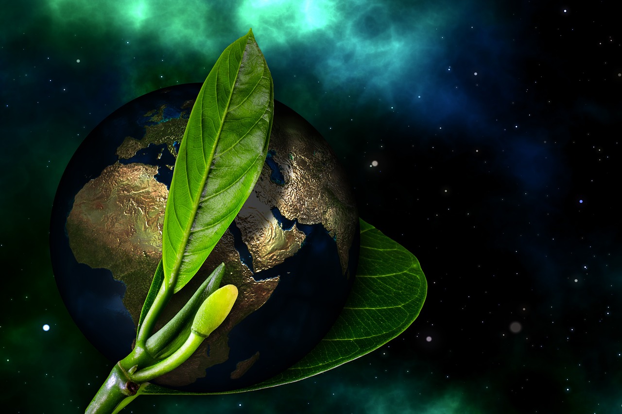 The Role of International Partnerships